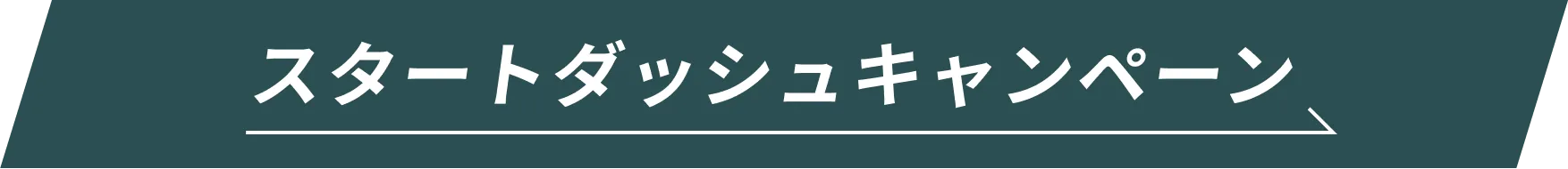 スタートダッシュキャンペーン